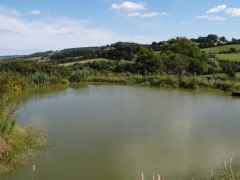 The Small Lake On our Farm