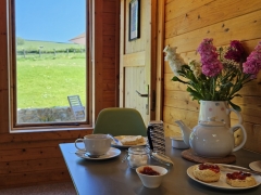 Swallows cream tea