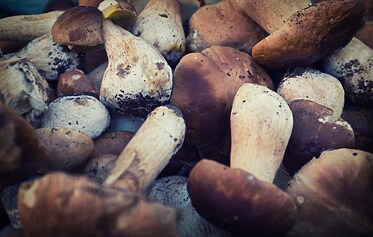 Autumn Recipes from the Devon Countryside