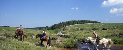 Horse Riding Holidays in Devon