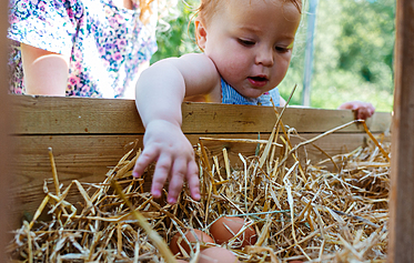 Why Every Child Should Experience Farming