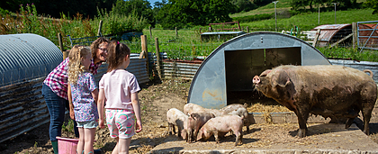 Why Every Child Should Experience Farming