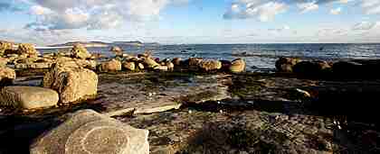 Farm Holidays in Devon Near a Beach