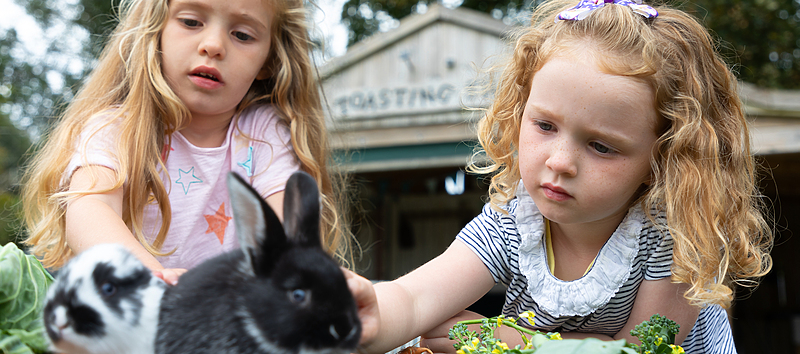 Why Every Child Should Experience Farming