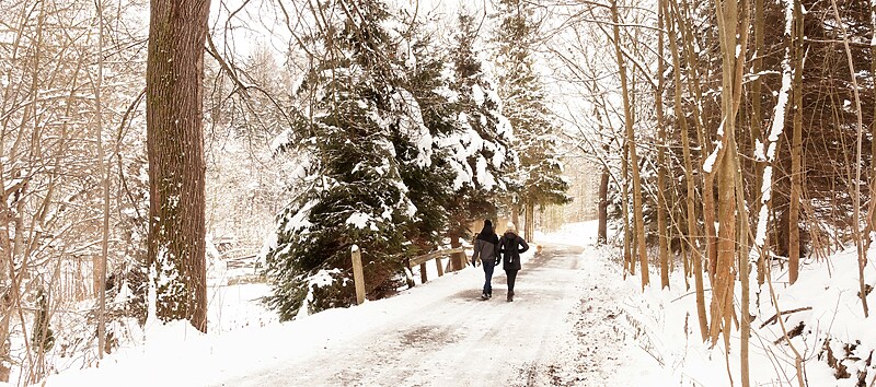 Winter Packing List for a Devon Country Escape