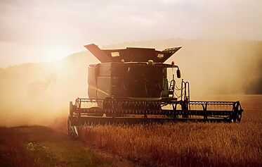 What’s Happening on Devon Farms in Late Summer? What’s Happening on Devon Farms in Late Summer?