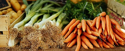 Discovering Devon’s Delicious Local Produce