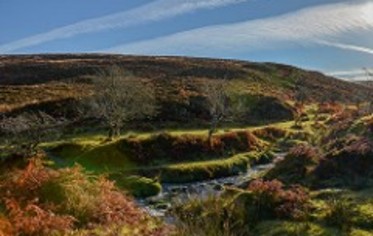 Exmoor Holiday Cottages and B&B