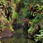 Lydford Gorge river