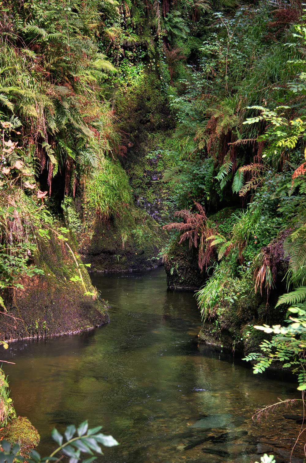 Lydford Gorge river